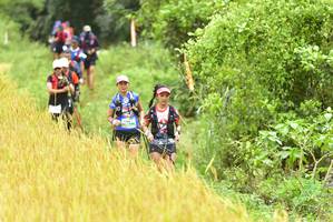 BIB: 
                            <button type="button" onclick="openModal(13436053)" class="btn btn-primary btn-sm float-right btn-popup" data-toggle="modal" data-target=".modal-high-quality">
                        <i class="fas fa-shopping-cart"></i> Add to Cart
                    </button>
                                            <button type="button" onclick="isThisMe(13436053, true)" class="btn btn-success btn-sm float-right btn-popup btn-isme hidden" data-toggle="tooltip" data-placement="bottom" title="นี่คือรูปของคุณใช่ไหม คลิกที่นี่เพื่อเอาเข้าอัลบั้ม">
                        <i class="fas fa-plus"></i> Add to album
                    </button>
                    <button type="button" onclick="isThisMe(13436053, false)" class="btn btn-warning btn-sm float-right btn-popup btn-isnotme hidden">
                        <i class="fas fa-ban"></i> Remove from album
                    </button>